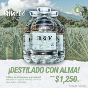 Destilado de Agave 5 Lts