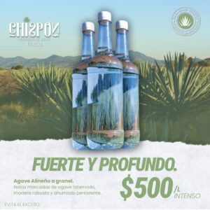 Agave Alineño a Granel Litro